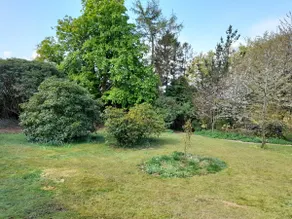 Fairwater Head - Image 4