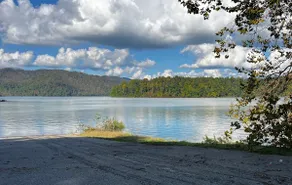 Twisted Vines – Cozy Tiny Home Near Watauga Lake, Stunning Fall Foliage - Image 2