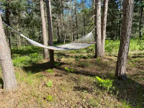 Blueberry Hill Sustainable Cabin in Huron Forest - Image 4