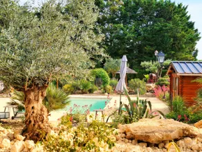 LE PETIT CHAMPIGNY - Image 4