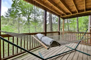 Bare Bear | Cherry Log, Ga - Image 5