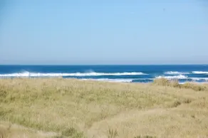 932 Pawfect Beachy Vibes - Incredible Ocean view - Image 2