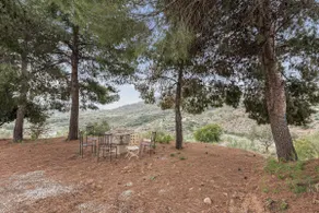 Finca Llano de Fe - Image 3