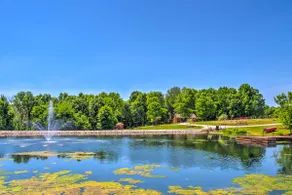 50-Acre Farm w/ Fishing Pond! Cabin in Brownsville - Image 3