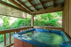 Near Downtown Gatlinburg/Creek Access/Renovated - Image 4