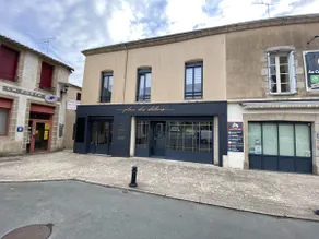 Apartment near Puy du Fou and Sèvre River, Netflix - Image 3