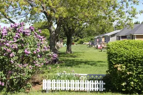 One-Bedroom Deluxe Cottage - Image 3
