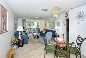 Tropical decor that overlooks the pool 220 - Image 5
