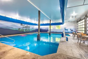 Lakeview-close to Silver Dollar City-indoor pool - Image 4