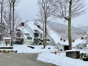 SunBear-Ski on Ski off, Pool, HotTub, Game Room! - Image 3