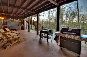Sassafras Lodge - Mineral Bluff - Image 5