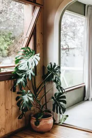 Cosy Cabin - Image 2