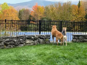HFH: Spectacular Home with Private Pool, Hot Tub, Views, Dog Friendly. Featured in Boston Herald! - Image 5