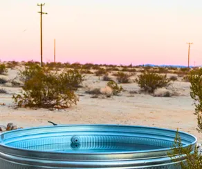 Desert Oasis: Cozy Retreat Near Joshua Tree NP - Image 3