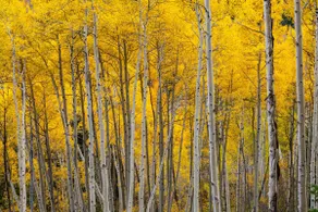 Meadow Drive Home In Beautiful Lake Tahoe Nevada - Image 3