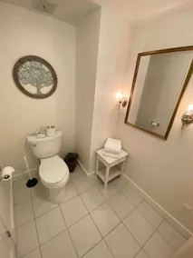 Deluxe King Suite, Living Room area w/sofa bed & fireplace, private entrance - Image 3
