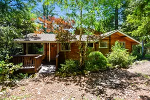 Private & Peaceful Forest Hideaway, Hot Tub - Image 4