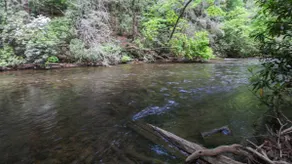 Toccoa River Fishing Retreat - Quiet Spring Cabin - Image 4