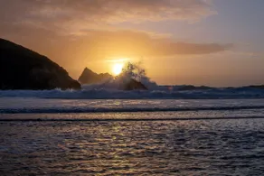 Harbour Lights - Image 5