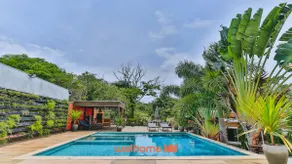 Tranquility, Fireplace, Beach Tennis and Gaucho Fire - Image 3