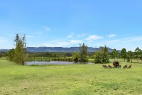 Silver Springs Estate - Image 5