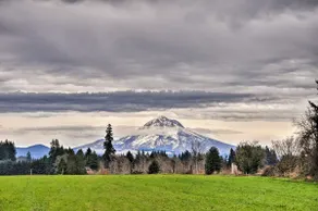 NEU! Abgeschiedenes Stadthaus in der PDX-Gegend ½ Weg zum Mt. Kapuze! - Image 3