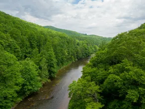 Bucky's Hideaway - Cool Private River Retreat i Todd - Image 2