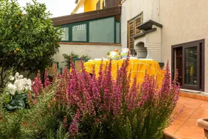 Lillà - Home and Garden - Image 5