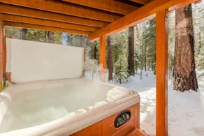 Lyon's Den_Hot Tub, Shuffleboard, (3) Spielhallen + HOA Amenity Passes (Fitnessraum / Sauna / Pool) - Image 3