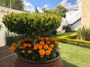 Casa Boutique Zoogocho - Image 2