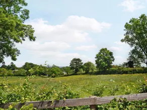 Pheasant Cottage - Ukc3428 - Image 2