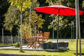 Cosy Studio for two near Terme Čatež - Image 2