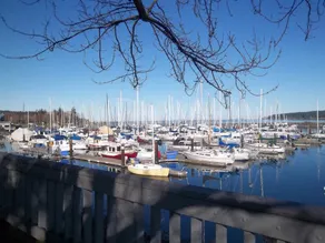 John Wayne's Waterfront Resort - Image 2