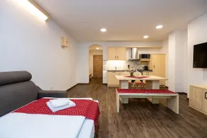 Modern One bedroom apartment with balcony and forest view - Image 4
