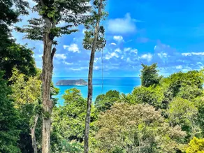 Mi Casa Es Su Casa, Walking distance from Beach - Image 3
