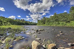 Adirondack Mountains Cottage Near Gore Mountain! - Image 2