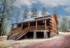 Chateau Relaxeau Cozy Log Cabin in the Woods - Image 2