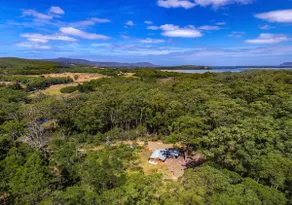 Saintys Creek Cottage-White Wallabies & Bird oasis - Image 4