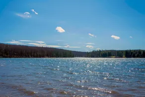 Lucky Bear Lakeside - Image 2