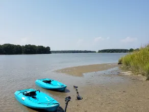 Centreville Waterfront Farm - 170 Acres - Pool - Private Dock - Private Beach - Image 4
