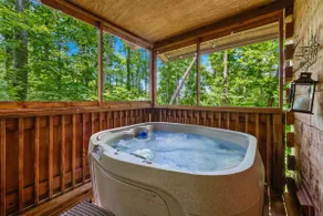 Secluded Smoky Cabin with Abundant Outdoor Fun - Image 3