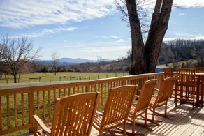 Cottage on Working Turkey and Bee Farm in the Heart of Crozet - Image 2