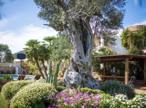 Villa Can Cardona Sea views Perfect 4 families - Image 3