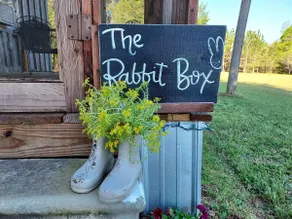 The Rabbit Box - peaceful, rustic, country cabin - Image 2