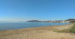 Peony Seabreeze Near Airport And Port - Image 4