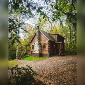 Wooded Pet Friendly Cabin w/ Hot Tub & Fireplace - Image 2