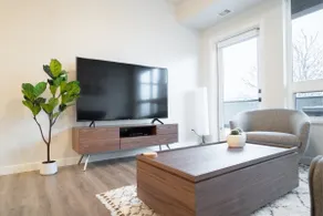 2 Bed Downtown Large Terrace Pets Ok | Buena Vista - Image 5