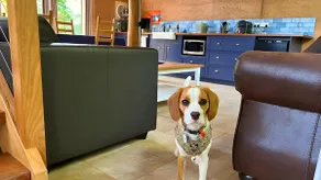 Panoramic Views + Large Dog Enclosure + Jacuzzi - Image 5