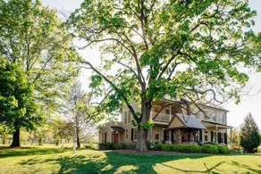 Farmhouse with views of mini longhorns and horses. - Image 2