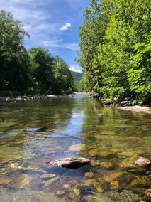 The Maury River House: A Waterfront Luxury Country Experience - Image 2